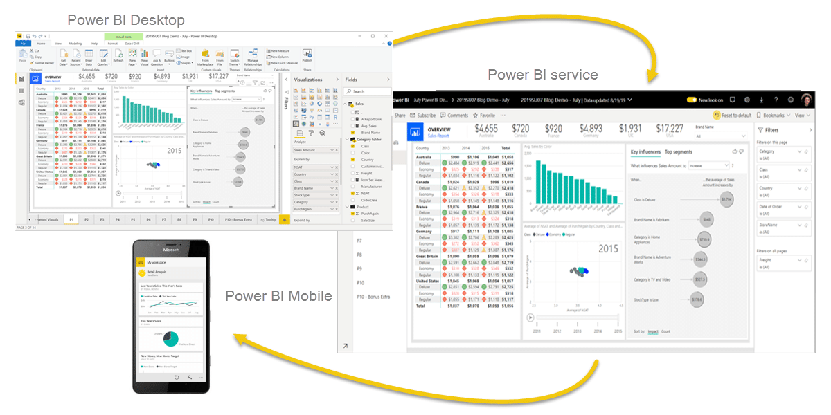 Microsoft Power BI Vs Other FINA LLC